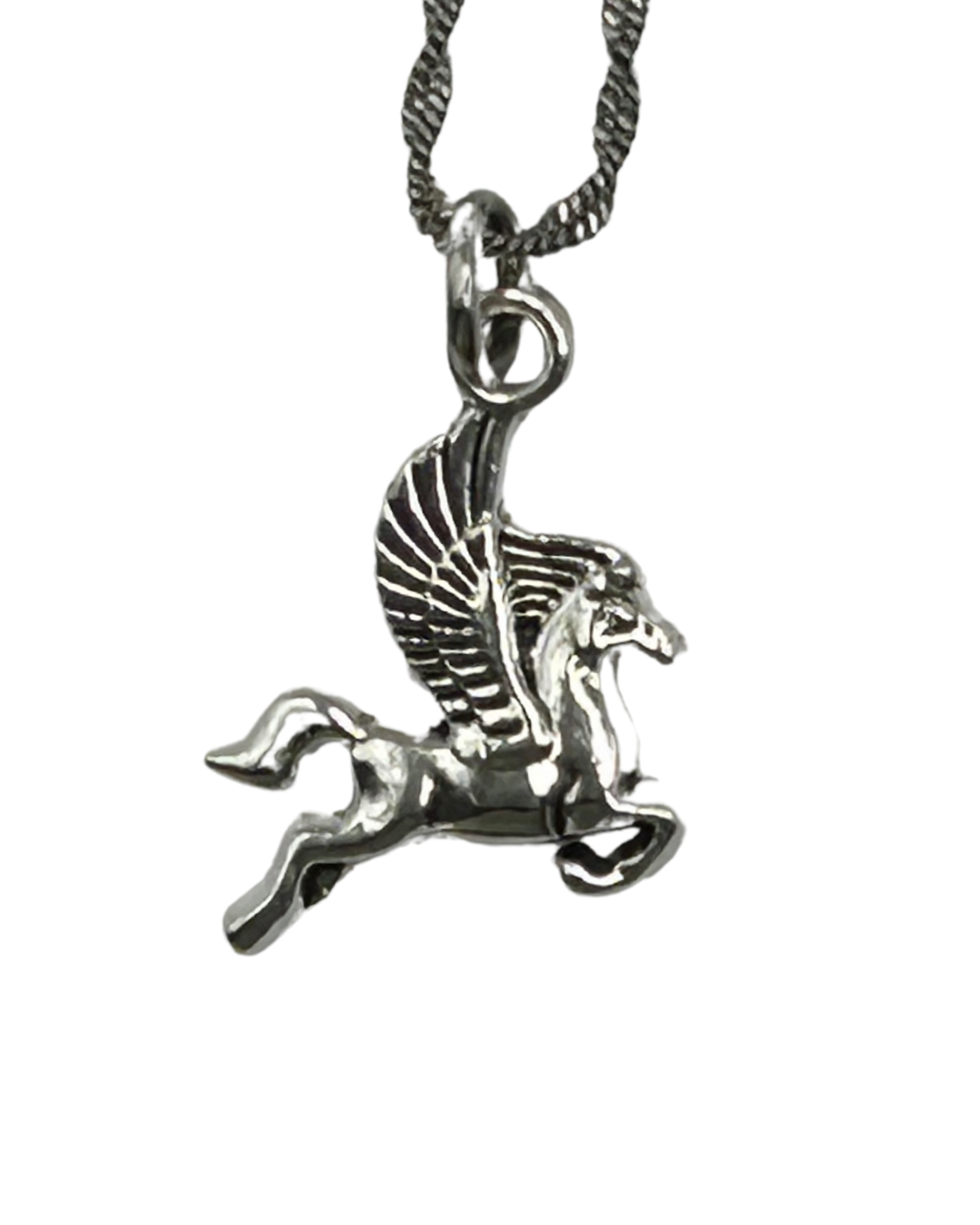 Pegasus image 1